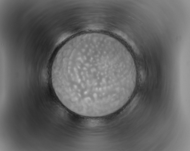 X0000086921266200705141715