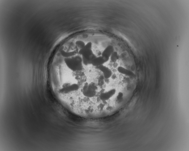 X0000086921267200705141715