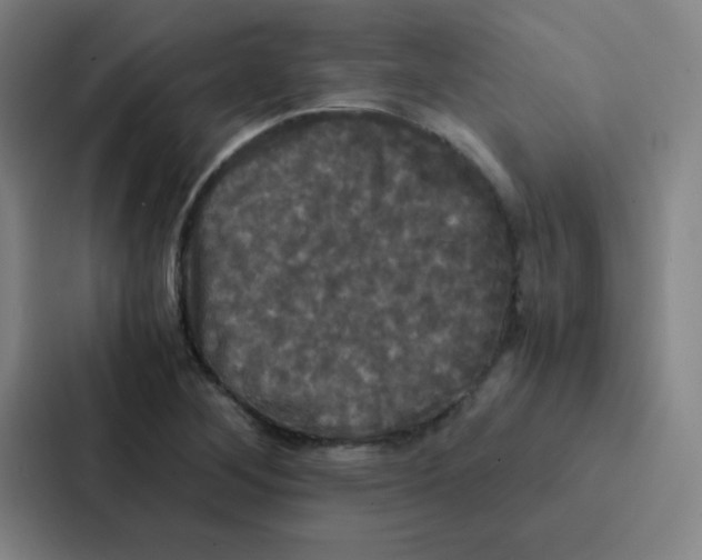 X0000086921268200705141715