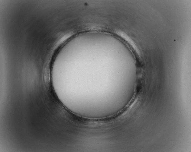 X0000086921269200705141715
