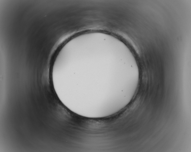 X0000086921270200705141715