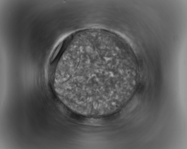 X0000086921271200705141715
