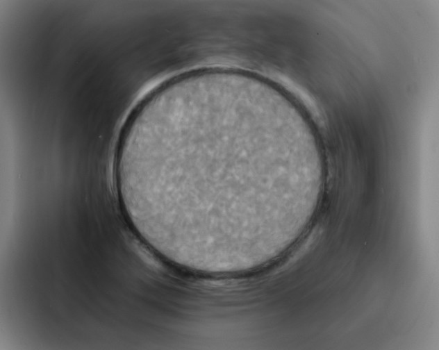 X0000086921272200705141715