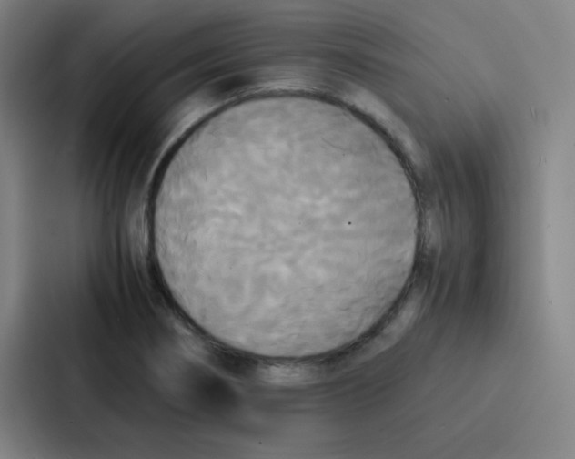 X0000086921274200705141715