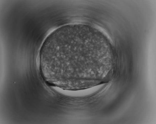 X0000086921275200705141715