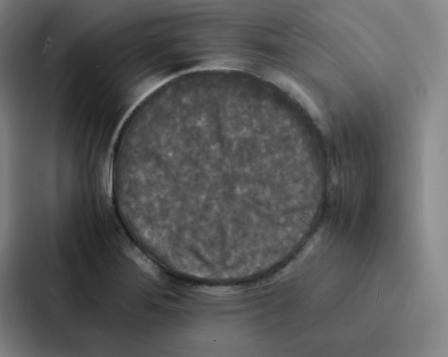 X0000086921276200705141715