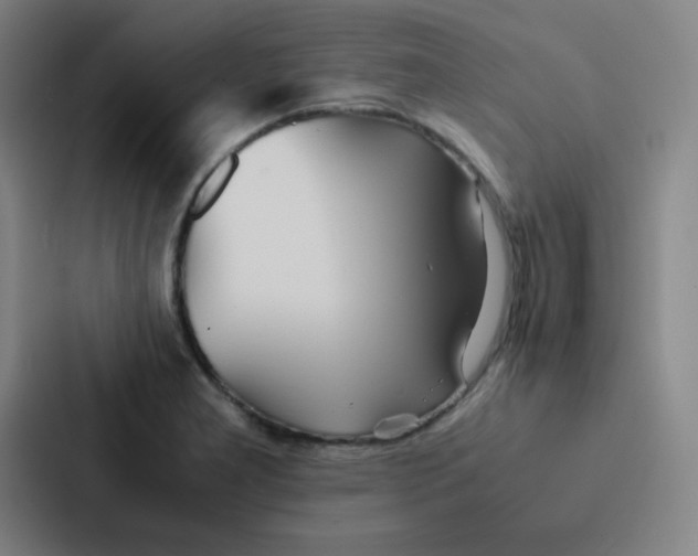 X0000086921277200705141715