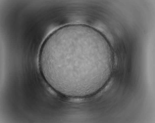 X0000086921278200705141715