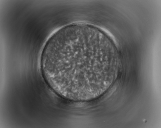 X0000086921279200705141715