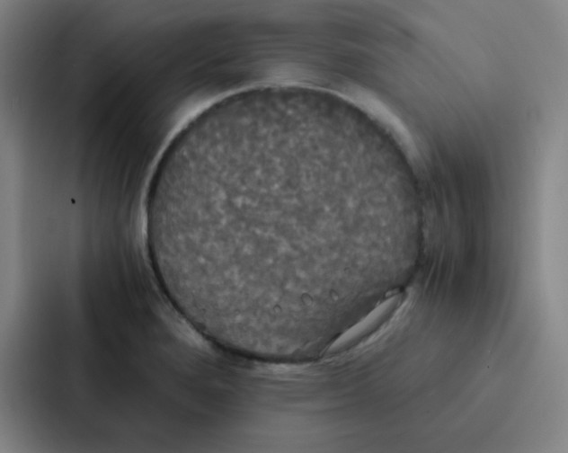 X0000086921280200705141715
