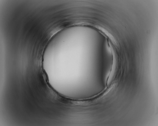 X0000086921281200705141715