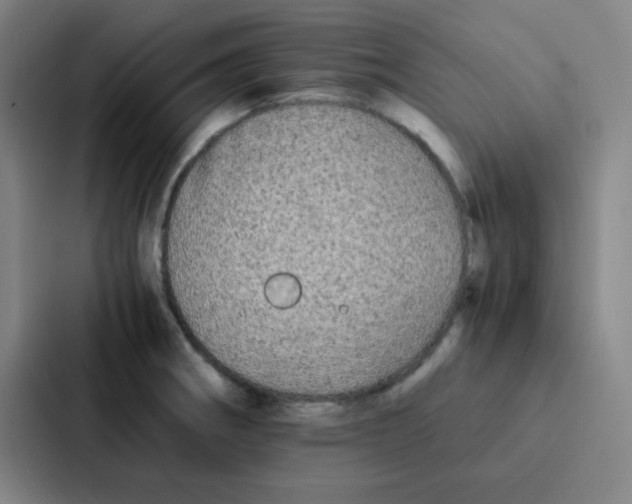 X0000086921282200705141715