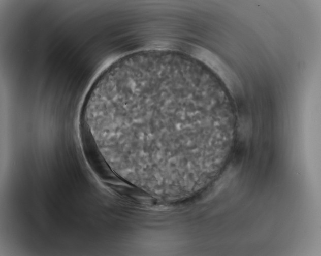 X0000086921283200705141715