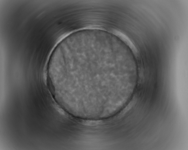 X0000086921284200705141715