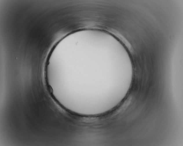 X0000086921285200705141715