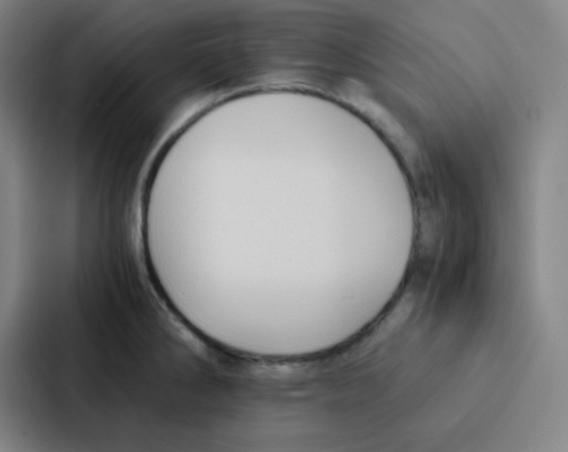 X0000086921286200705141715