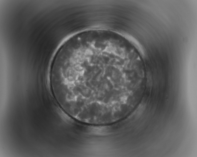X0000086921288200705141715