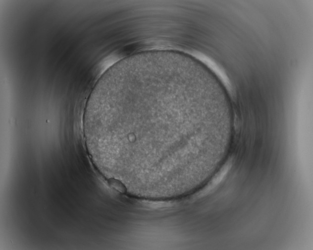 X0000086921289200705141715