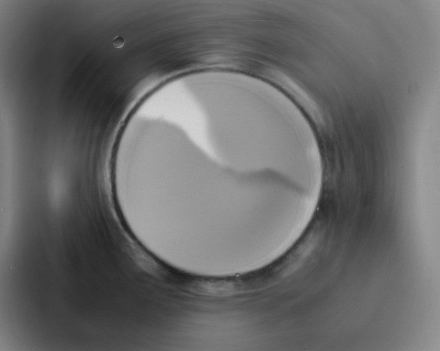 X0000086921291200705141715