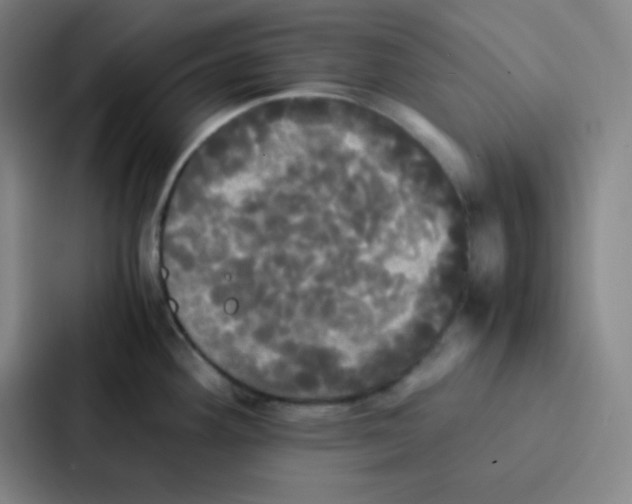 X0000086921292200705141715