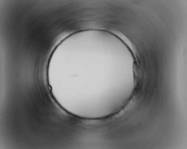 X0000086921293200705141715