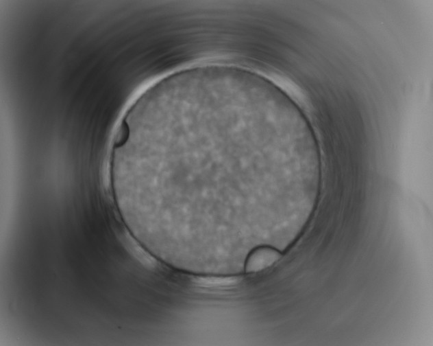 X0000086921296200705141715