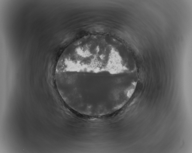 X0000086921297200705141714