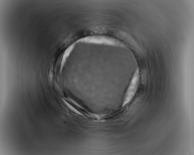 X0000086921298200705141714