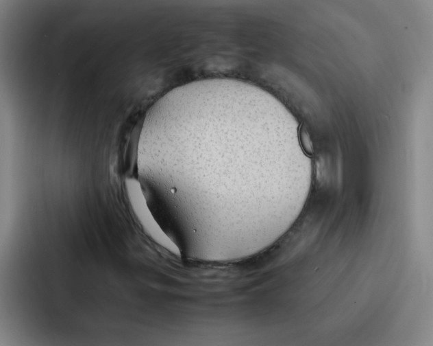 X0000086921299200705141714