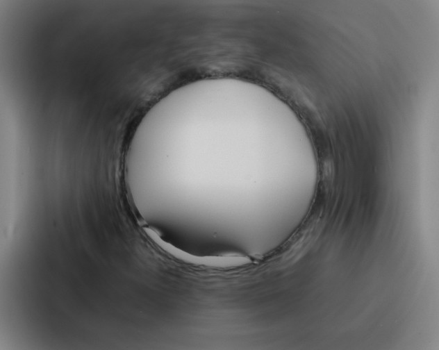 X0000086921300200705141714