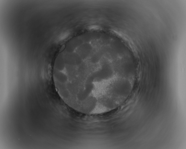 X0000086921301200705141714