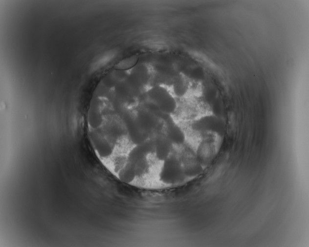 X0000086921302200705141714