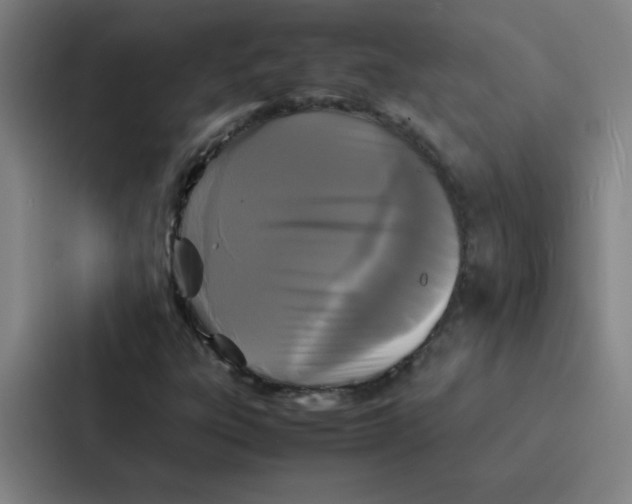 X0000086921303200705141714