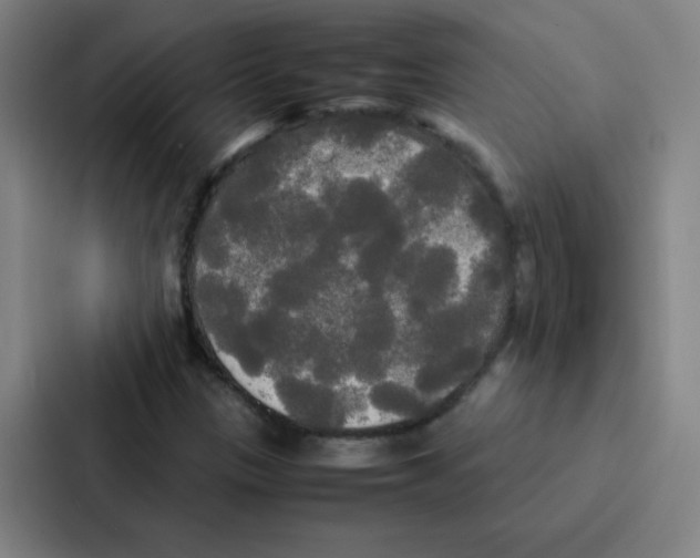 X0000086921305200705141714