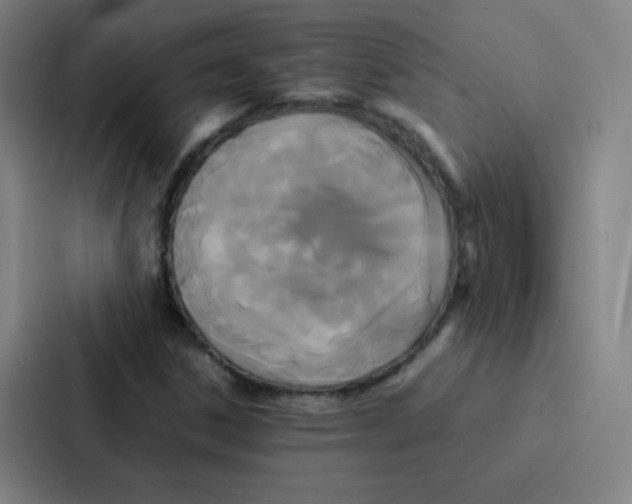 X0000086921306200705141714