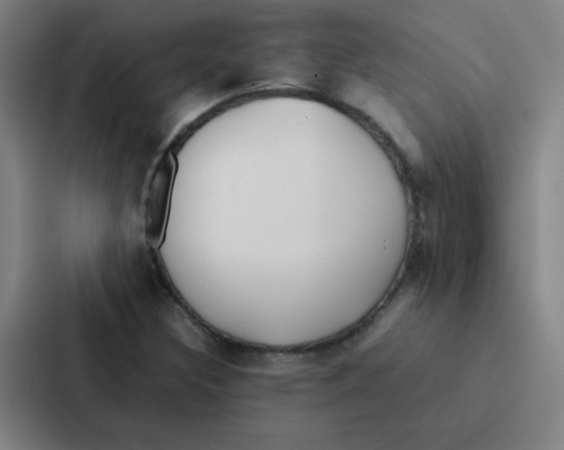 X0000086921308200705141714