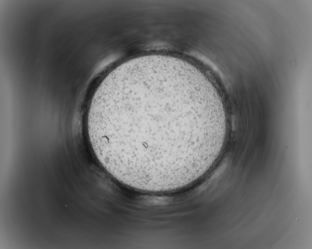 X0000086921309200705141714