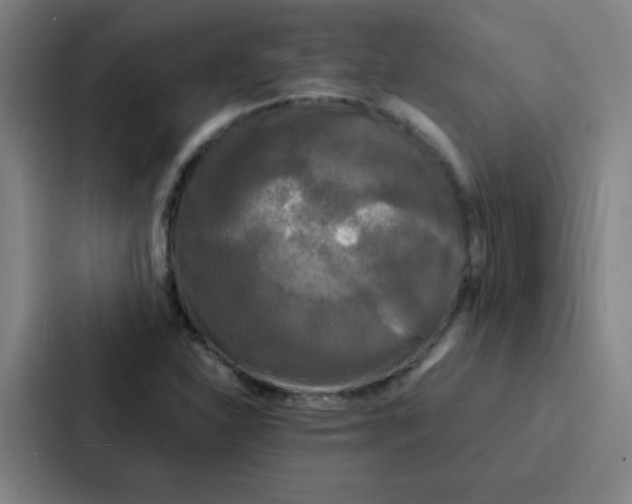 X0000086921310200705141714