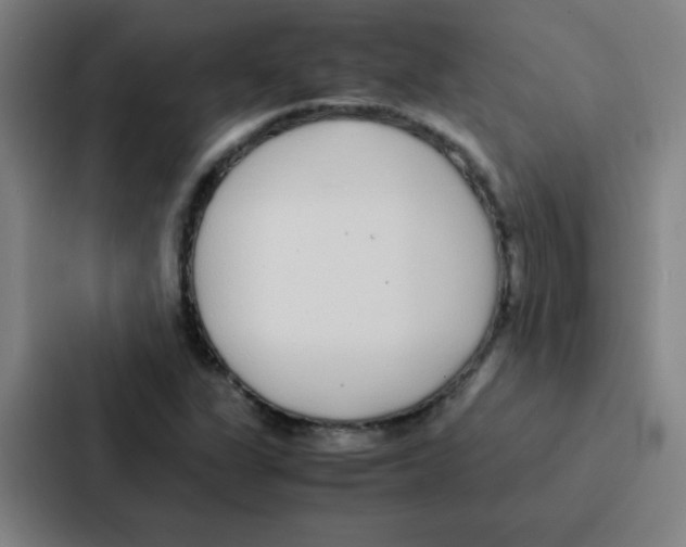 X0000086921311200705141714