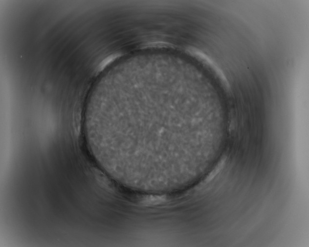 X0000086921313200705141714