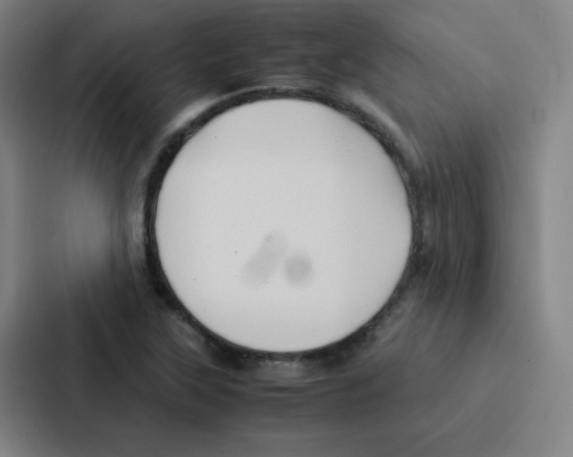 X0000086921315200705141714