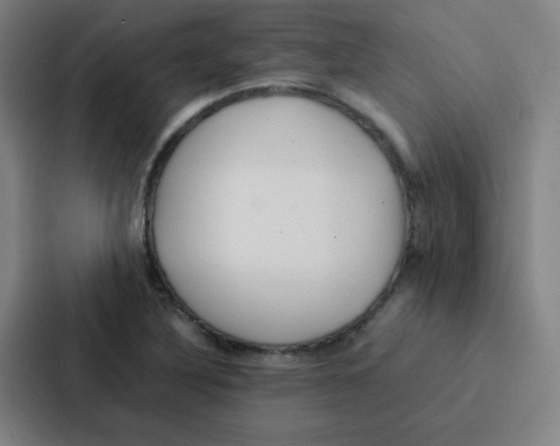 X0000086921316200705141714