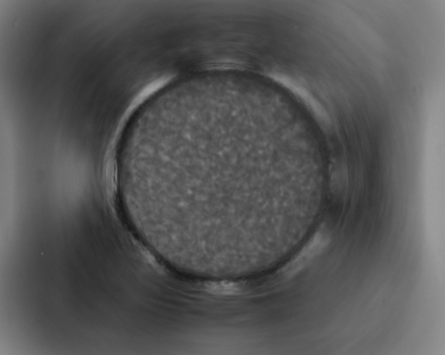 X0000086921317200705141714