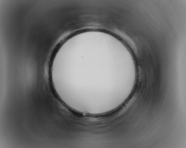 X0000086921318200705141714