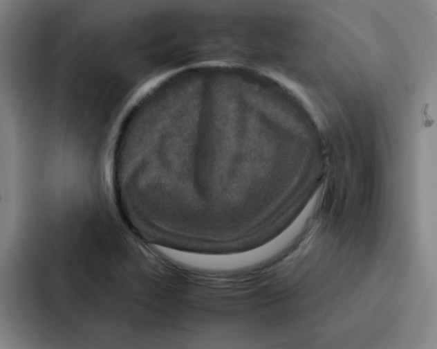 X0000086921319200705141714