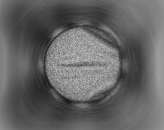 X0000086921321200705141714