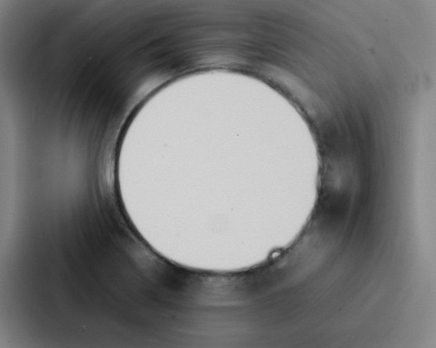 X0000086921322200705141714