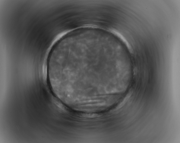 X0000086921323200705141714