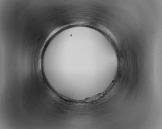 X0000086921324200705141714