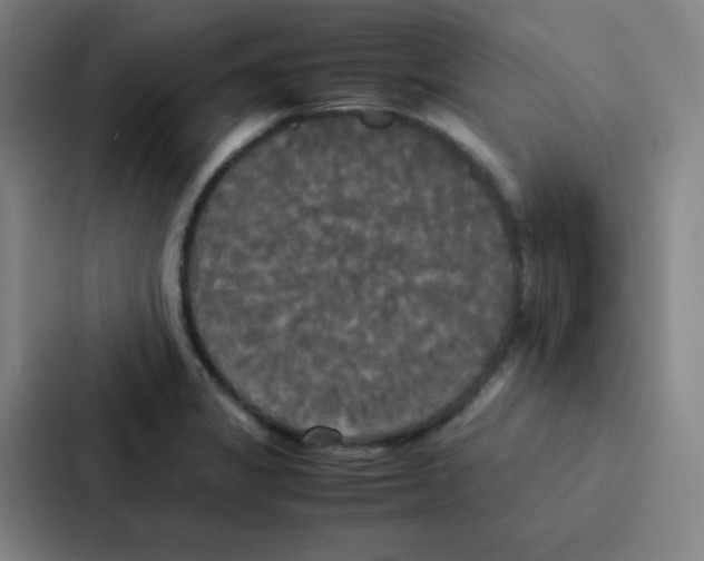 X0000086921325200705141714